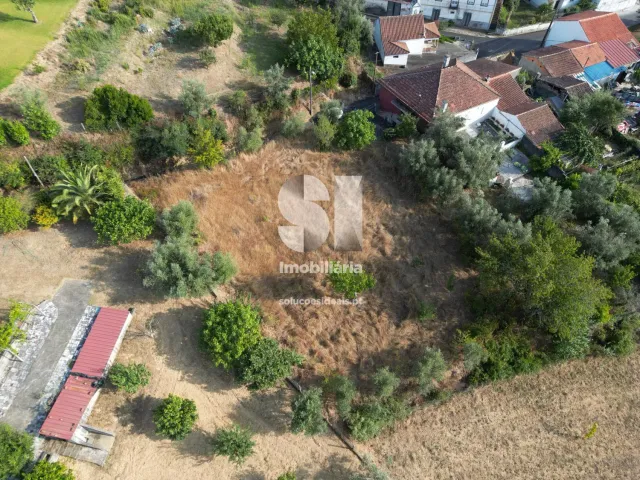 Terreno Urbano T0 - Fri�mes, Penacova, Coimbra - Miniatura: 3/4