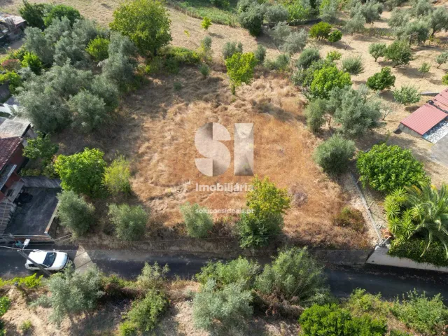 Terreno Urbano T0 - Fri�mes, Penacova, Coimbra - Miniatura: 4/4