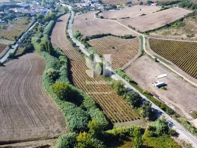 Terreno R�stico T0 - Dois Portos, Torres Vedras, Lisboa - Miniatura: 1/11