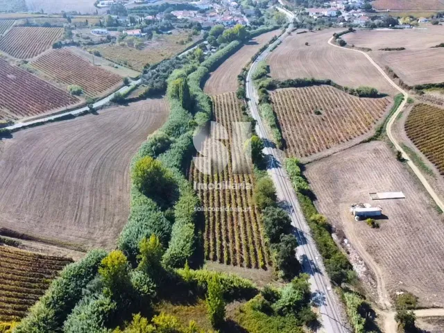 Terreno R�stico T0 - Dois Portos, Torres Vedras, Lisboa - Miniatura: 2/11