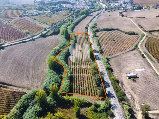 Terreno R�stico T0 - Dois Portos, Torres Vedras, Lisboa - Miniatura: 3/11