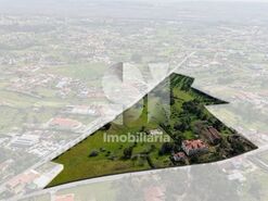 Quinta > T6 - Carapinheira, Montemor-o-Velho, Coimbra - Miniatura: 29/29