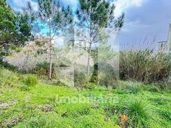 Terreno R�stico T0 - Buarcos, Figueira da Foz, Coimbra - Miniatura: 1/2