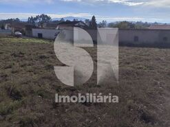 Terreno Urbano T0 - Tamengos, Anadia, Aveiro - Miniatura: 2/6