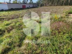 Terreno Urbano T0 - Tamengos, Anadia, Aveiro - Miniatura: 4/6