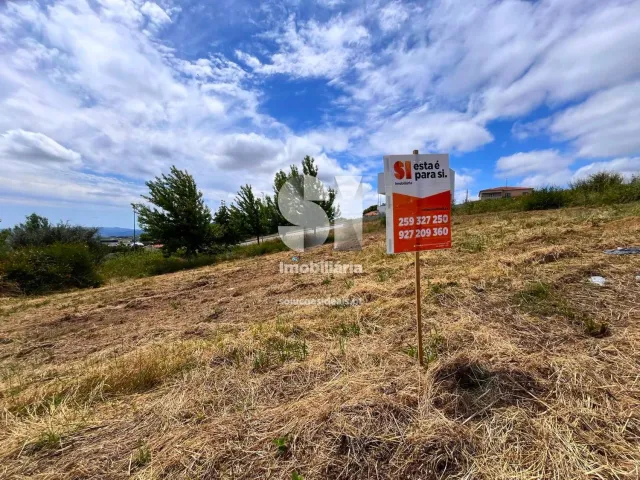 Terreno Urbano T0 - Sabrosa, Sabrosa, Vila Real - Miniatura: 9/16
