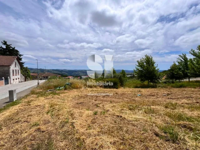 Terreno Urbano T0 - Sabrosa, Sabrosa, Vila Real - Miniatura: 12/16