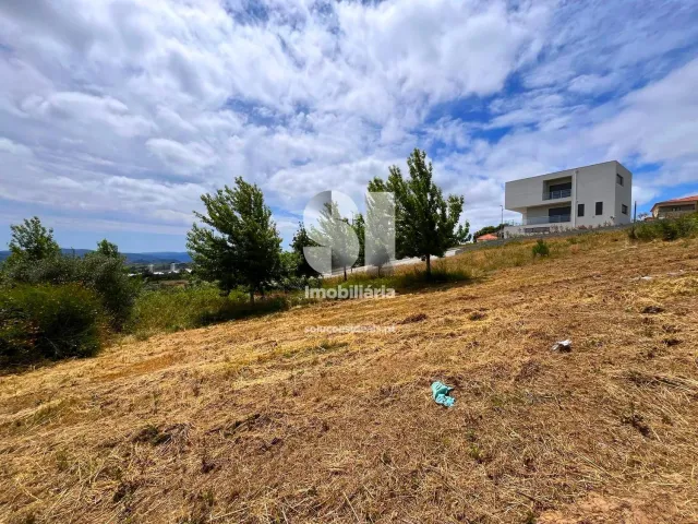 Terreno Urbano T0 - Sabrosa, Sabrosa, Vila Real - Miniatura: 15/16