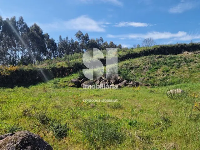 Terreno Urbano T0 - TERMAS DE S�O VICENTE, Penafiel, Porto - Miniatura: 5/49