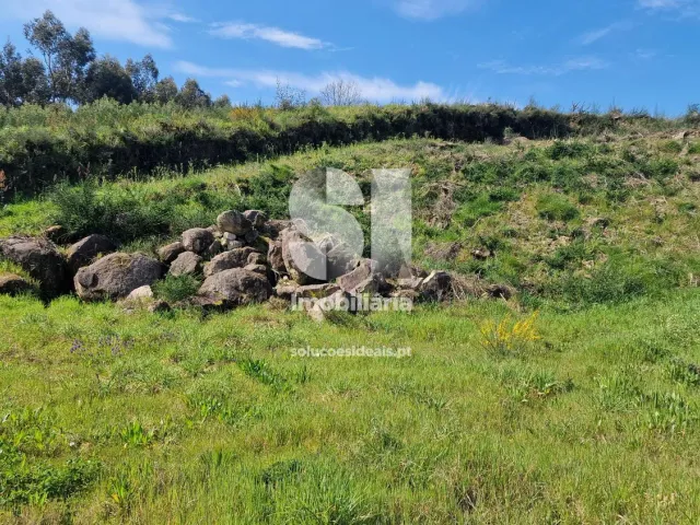 Terreno Urbano T0 - TERMAS DE S�O VICENTE, Penafiel, Porto - Miniatura: 7/49