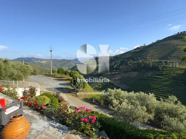 Moradia T3 - Covas do Douro, Sabrosa, Vila Real - Miniatura: 26/33