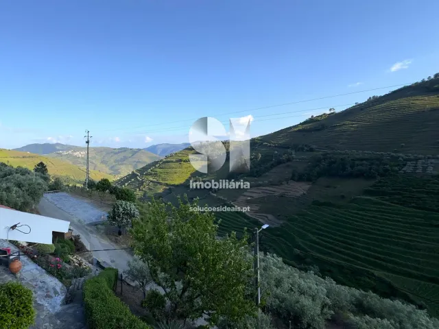 Moradia T3 - Covas do Douro, Sabrosa, Vila Real - Miniatura: 30/33