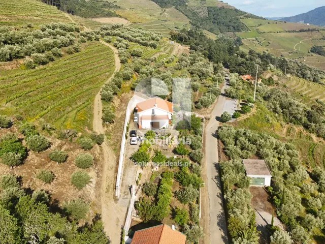 Moradia T3 - Covas do Douro, Sabrosa, Vila Real - Miniatura: 32/33