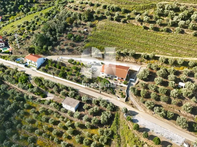 Moradia T3 - Covas do Douro, Sabrosa, Vila Real - Miniatura: 33/33