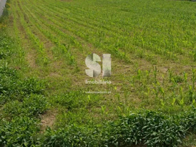 Terreno Urbano T0 - Malta, Vila do Conde, Porto - Miniatura: 4/8