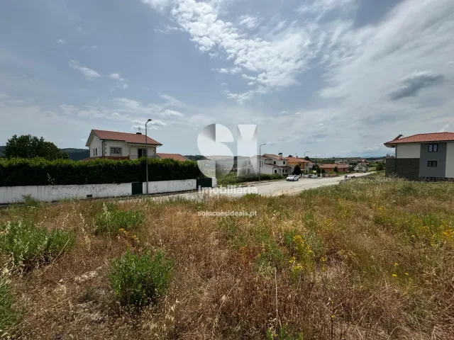 Terreno Urbano T0 - Pa�os, Sabrosa, Vila Real - Miniatura: 3/7