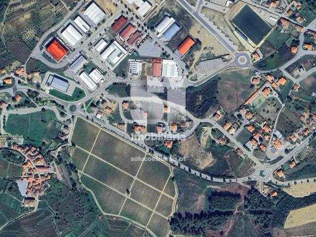 Terreno Urbano T0 - Pa�os, Sabrosa, Vila Real - Miniatura: 7/7