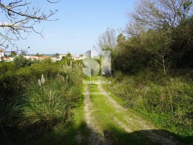 Terreno Urbano T0 - Eiras, Coimbra, Coimbra - Miniatura: 2/9