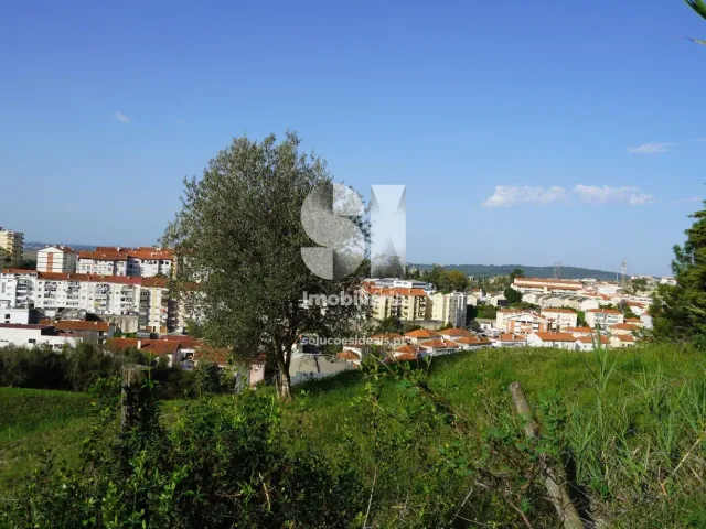 Terreno Urbano T0 - Eiras, Coimbra, Coimbra - Miniatura: 4/9