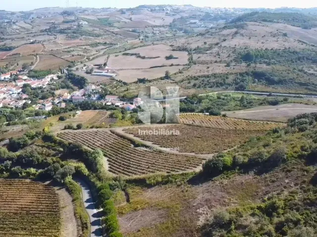 Terreno R�stico T0 - Dois Portos, Torres Vedras, Lisboa - Miniatura: 1/8