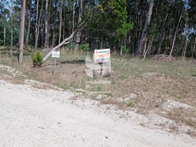 Terreno Urbano T0 - Eixo, Aveiro, Aveiro - Miniatura: 1/1