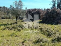 Terreno Urbano T0 - Ega, Condeixa-a-Nova, Coimbra - Miniatura: 3/5