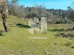 Terreno Urbano T0 - Ega, Condeixa-a-Nova, Coimbra - Miniatura: 4/5
