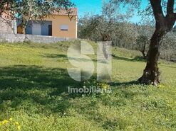 Terreno Urbano T0 - Ega, Condeixa-a-Nova, Coimbra - Miniatura: 5/5