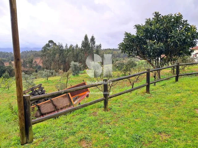 Moradia T5 - S�o Martinho da Corti�a, Arganil, Coimbra - Miniatura: 9/40