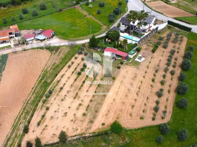 Moradia T5 - S�o Martinho da Corti�a, Arganil, Coimbra - Miniatura: 36/40