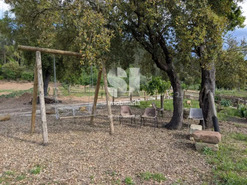 Quinta T0 - Lavegadas, Vila Nova de Poiares, Coimbra - Miniatura: 15/26