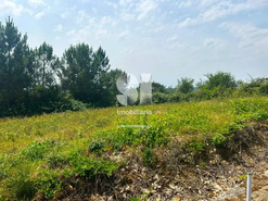Terreno Urbano T0 - Sabrosa, Sabrosa, Vila Real - Miniatura: 2/13