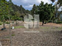 Quinta T0 - Lavegadas, Vila Nova de Poiares, Coimbra - Miniatura: 20/26