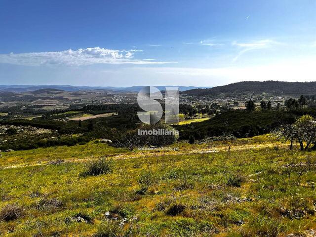 Terreno Rústico - Alijó, Alijó, Vila Real - Imagem grande