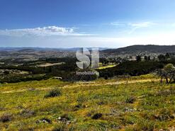 Terreno Rstico - Alij, Alij, Vila Real
