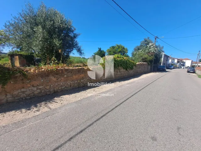 Terreno Urbano T0 - Tamengos, Anadia, Aveiro