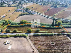 Terreno R�stico T0 - Dois Portos, Torres Vedras, Lisboa