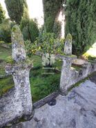 Quinta T6 - Anadia, Anadia, Aveiro - Miniatura: 18/36