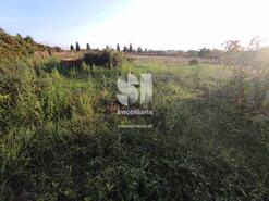 Terreno Rstico - Paredes do Bairro, Anadia, Aveiro - Miniatura: 5/14