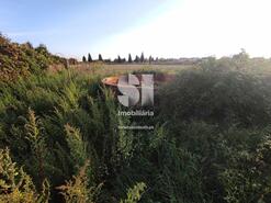 Terreno Rstico - Paredes do Bairro, Anadia, Aveiro - Miniatura: 6/14