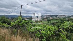 Terreno Rstico - Astromil, Paredes, Porto - Miniatura: 22/27