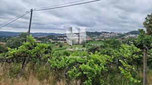 Terreno Rstico - Astromil, Paredes, Porto - Miniatura: 27/27