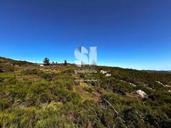Terreno Rstico - Alij, Alij, Vila Real - Miniatura: 8/14