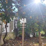 Moradia T3 - Atalaia, Vila Nova da Barquinha, Santarm - Miniatura: 4/11