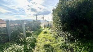 Moradia T2 - Sazes do Lorvo, Penacova, Coimbra - Miniatura: 9/10