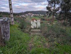 Terreno R�stico - S�o Martinho da Corti�a, Arganil, Coimbra - Miniatura: 2/10
