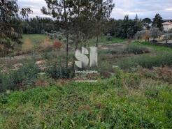 Terreno R�stico - S�o Martinho da Corti�a, Arganil, Coimbra - Miniatura: 4/10
