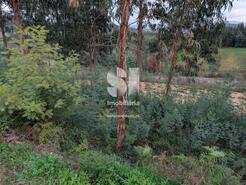 Terreno R�stico - S�o Martinho da Corti�a, Arganil, Coimbra - Miniatura: 5/10