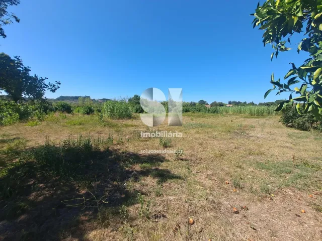 Terreno Urbano T0 - Tamengos, Anadia, Aveiro - Miniatura: 3/11