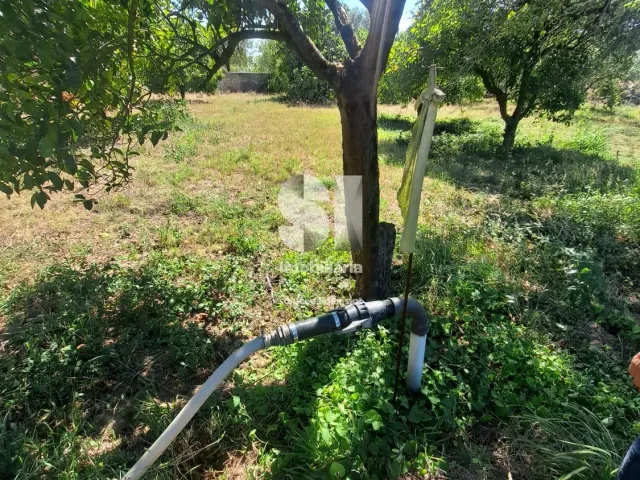 Terreno Urbano T0 - Tamengos, Anadia, Aveiro - Miniatura: 11/11